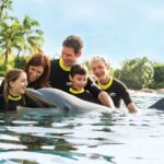 Discover-Cove-Dolphins